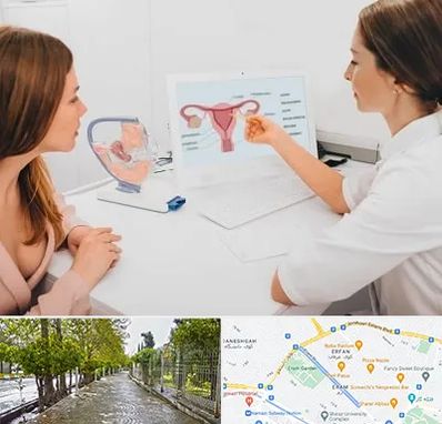 فوق تخصص نازایی در خیابان ارم شیراز