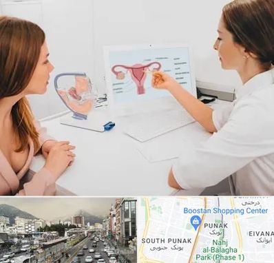 فوق تخصص نازایی در پونک