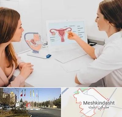 فوق تخصص نازایی در مشکین دشت