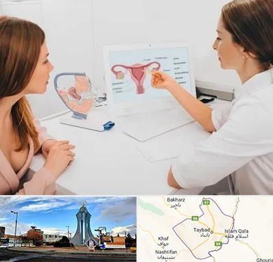 فوق تخصص نازایی در تایباد