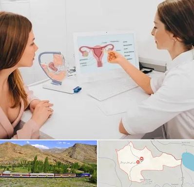 فوق تخصص نازایی در خاش