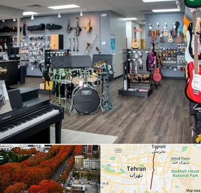مرکز فروش ساز موسیقی در ولیعصر 