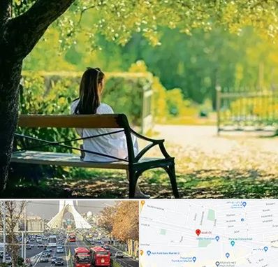 پارک بانوان در خیابان آزادی 