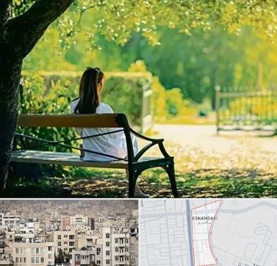 پارک بانوان در اسکندری