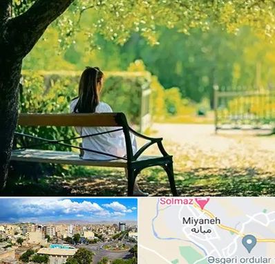 پارک بانوان در میانه