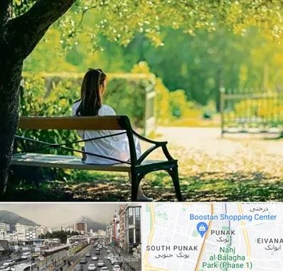 پارک بانوان در پونک 