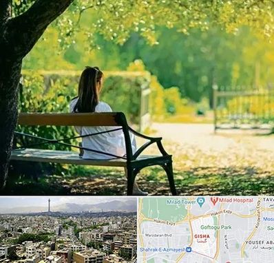 پارک بانوان در گیشا 