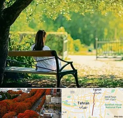 پارک بانوان در ولیعصر 