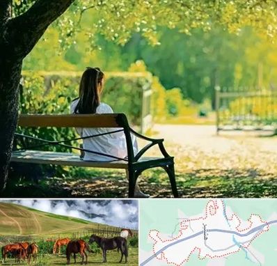 پارک بانوان در تالش