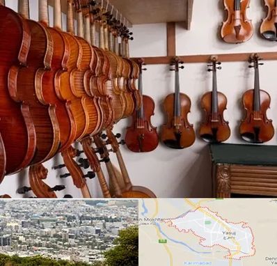 فروش ویولن در یاسوج