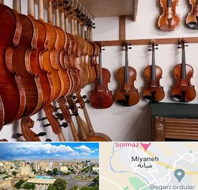 فروش ویولن در میانه