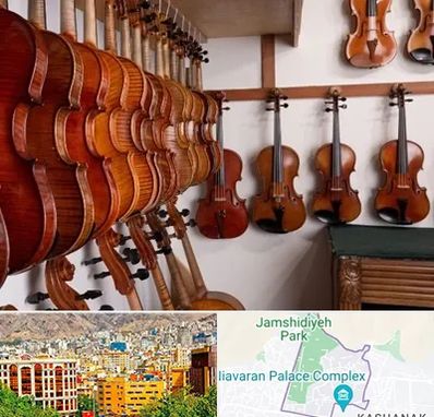 فروش ویولن در نیاوران 