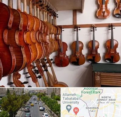 فروش ویولن در شهران 