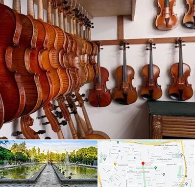 فروش ویولن در سرسبز 