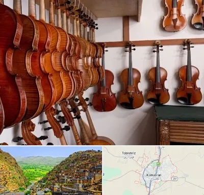 فروش ویولن در کامیاران