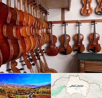 فروش ویولن در خراسان شمالی