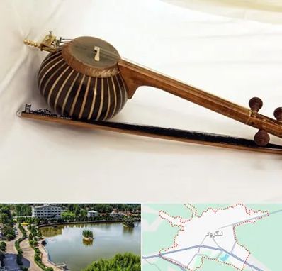 فروش کمانچه در لنگرود