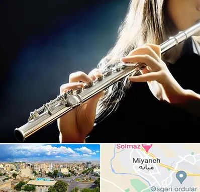 فروش فلوت در میانه