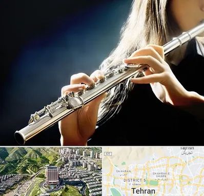 فروش فلوت در شمال تهران 