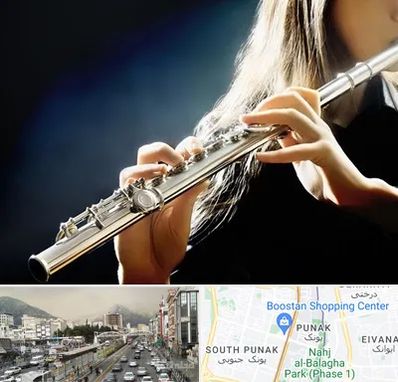 فروش فلوت در پونک 