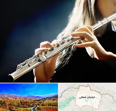 فروش فلوت در خراسان شمالی