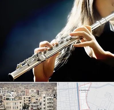 فروش فلوت در اسکندری