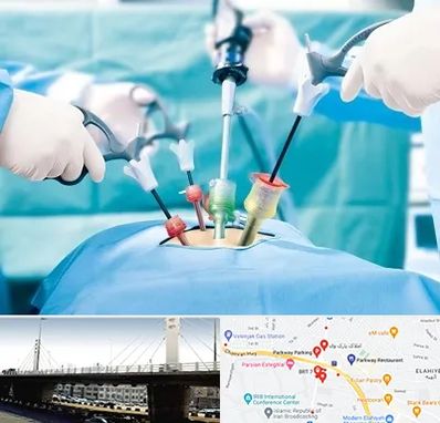 دکتر لاپاراسکوپی در پارک وی