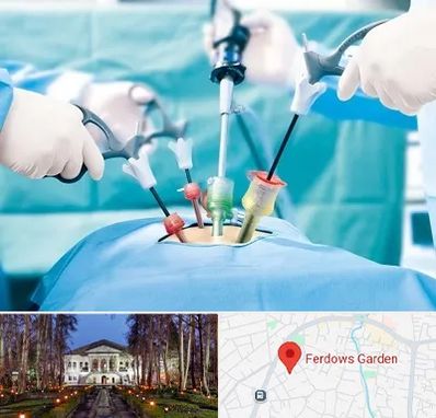 دکتر لاپاراسکوپی در باغ فردوس