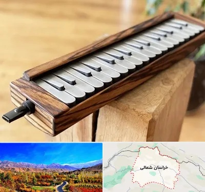 فروش ملودیکا در خراسان شمالی