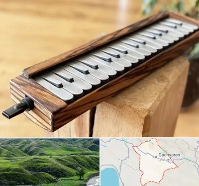فروش ملودیکا در گچساران