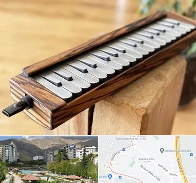 فروش ملودیکا در شهر زیبا 