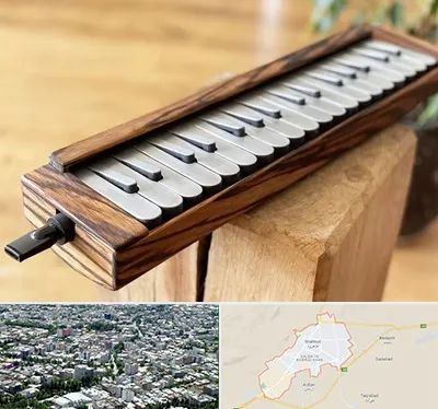 فروش ملودیکا در شاهرود