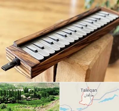 فروش ملودیکا در طالقان