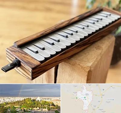 فروش ملودیکا در تربت حیدریه