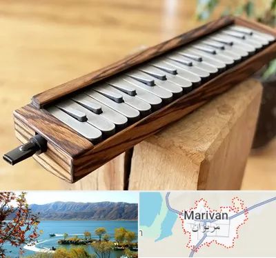 فروش ملودیکا در مریوان