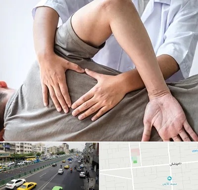 فیزیوتراپی در منزل در خیابان دامپزشکی