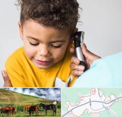 شنوایی سنجی کودکان در تالش