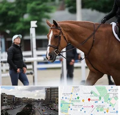 مربی سوارکاری در بلوار فردوسی مشهد 