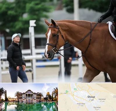 مربی سوارکاری در شیراز