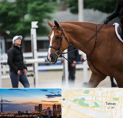 مربی سوارکاری در غرب تهران 