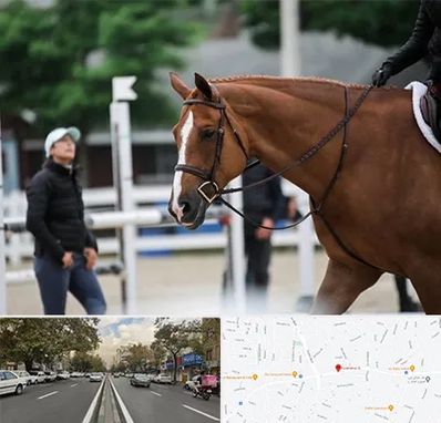 مربی سوارکاری در دولت