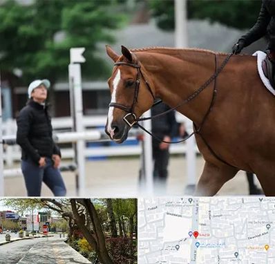 مربی سوارکاری در خیابان توحید اصفهان 