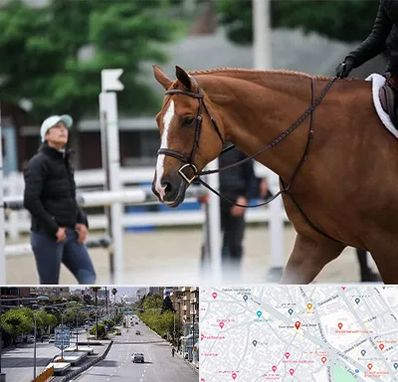 مربی سوارکاری در خیابان زند شیراز 