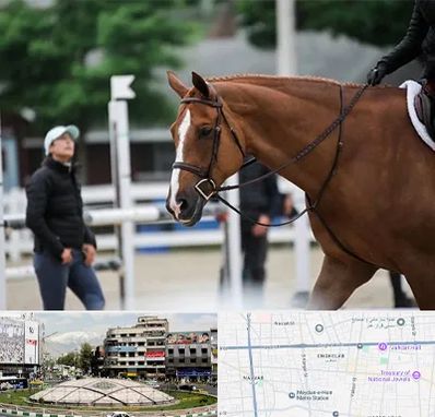 مربی سوارکاری در مرکز تهران