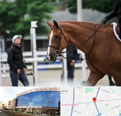 مربی سوارکاری در نصف راه تبریز