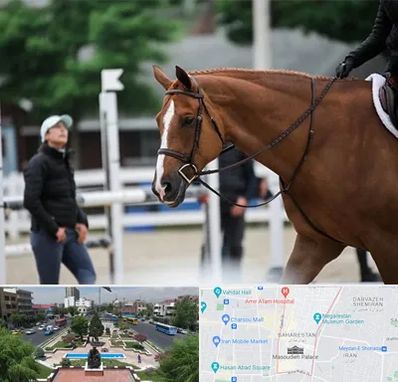 مربی سوارکاری در بهارستان 