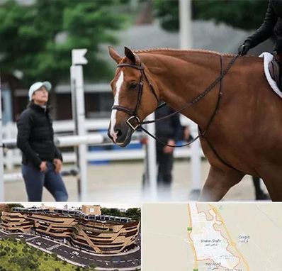 مربی سوارکاری در شاهین شهر