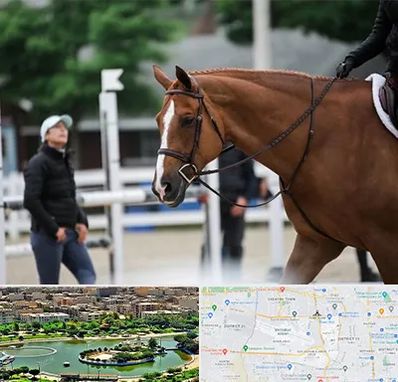 مربی سوارکاری در منطقه 9 تهران 