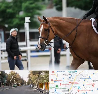 مربی سوارکاری در شریعتی 