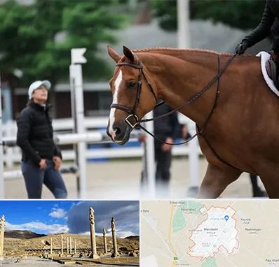 مربی سوارکاری در مرودشت